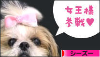 にほんブログ村 犬ブログ シーズーへ