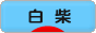 にほんブログ村 犬ブログ 白柴犬へ