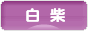 にほんブログ村 犬ブログ 白柴犬へ