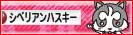 にほんブログ村 犬ブログ シベリアンハスキーへ