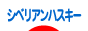 にほんブログ村 犬ブログ シベリアンハスキーへ
