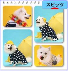 にほんブログ村 犬ブログ スピッツ（日本スピッツ）へ
