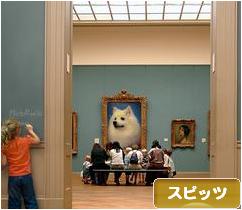 にほんブログ村 犬ブログ スピッツ（日本スピッツ）へ