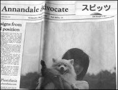 にほんブログ村 犬ブログ スピッツ（日本スピッツ）へ