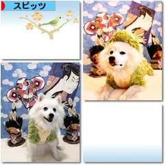にほんブログ村 犬ブログ スピッツ（日本スピッツ）へ