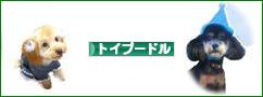 にほんブログ村 犬ブログ トイプードルへ