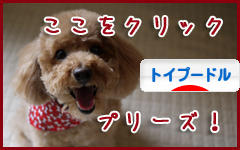 にほんブログ村 犬ブログ トイプードルへ