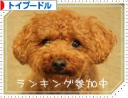にほんブログ村 犬ブログ トイプードルへ