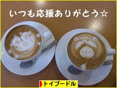 にほんブログ村 犬ブログ トイプードルへ