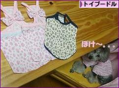 にほんブログ村 犬ブログ トイプードルへ