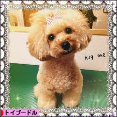 にほんブログ村 犬ブログ トイプードルへ