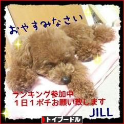 にほんブログ村 犬ブログ トイプードルへ