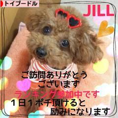 にほんブログ村 犬ブログ トイプードルへ