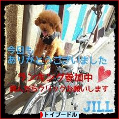 にほんブログ村 犬ブログ トイプードルへ
