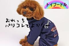 にほんブログ村 犬ブログ トイプードルへ