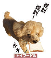 にほんブログ村 犬ブログ トイプードルへ