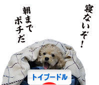 にほんブログ村 犬ブログ トイプードルへ