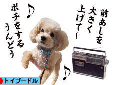 にほんブログ村 犬ブログ トイプードルへ