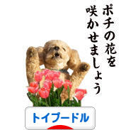 にほんブログ村 犬ブログ トイプードルへ