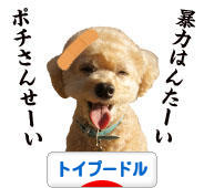 にほんブログ村 犬ブログ トイプードルへ