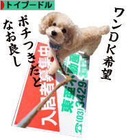 にほんブログ村 犬ブログ トイプードルへ
