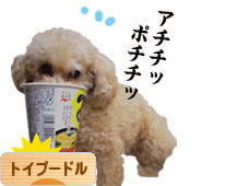 にほんブログ村 犬ブログ トイプードルへ