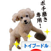 にほんブログ村 犬ブログ トイプードルへ