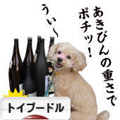 にほんブログ村 犬ブログ トイプードルへ