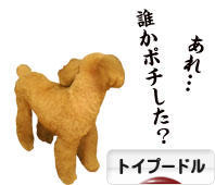 にほんブログ村 犬ブログ トイプードルへ