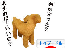 にほんブログ村 犬ブログ トイプードルへ