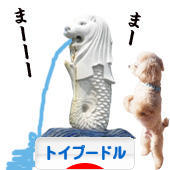 にほんブログ村 犬ブログ トイプードルへ