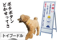 にほんブログ村 犬ブログ トイプードルへ