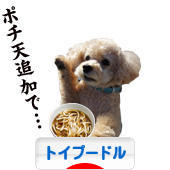 にほんブログ村 犬ブログ トイプードルへ