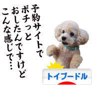 にほんブログ村 犬ブログ トイプードルへ