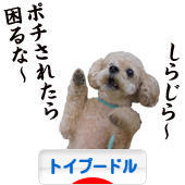 にほんブログ村 犬ブログ トイプードルへ