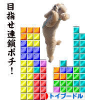 にほんブログ村 犬ブログ トイプードルへ