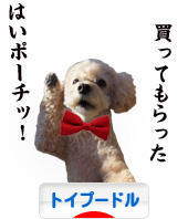 にほんブログ村 犬ブログ トイプードルへ