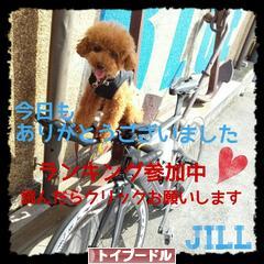 にほんブログ村 犬ブログ トイプードルへ