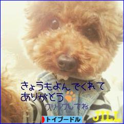 にほんブログ村 犬ブログ トイプードルへ