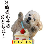 にほんブログ村 犬ブログ トイプードルへ