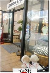 にほんブログ村 犬ブログ トイプードルへ