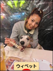 にほんブログ村 犬ブログ ウィペットへ