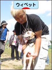 にほんブログ村 犬ブログ ウィペットへ