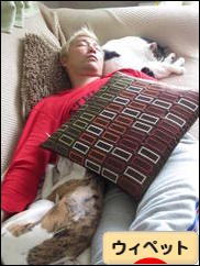 にほんブログ村 犬ブログ ウィペットへ