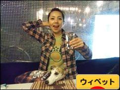 にほんブログ村 犬ブログ ウィペットへ