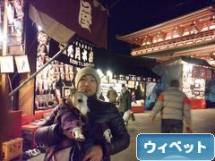 にほんブログ村 犬ブログ ウィペットへ