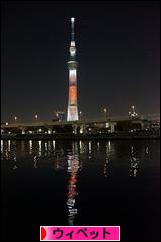 にほんブログ村 犬ブログ ウィペットへ