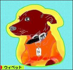 にほんブログ村 犬ブログ ウィペットへ