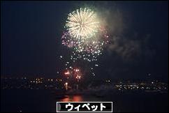 にほんブログ村 犬ブログ ウィペットへ
