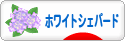 にほんブログ村 犬ブログ ホワイトシェパードへ